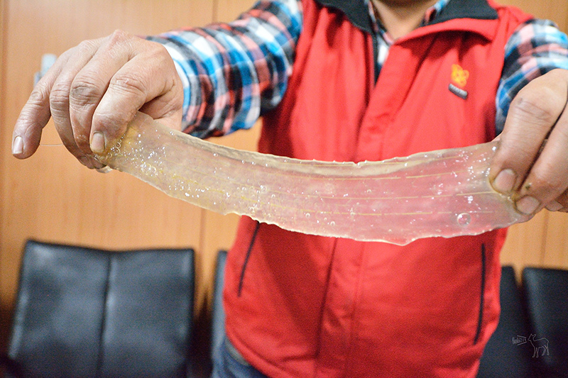 桃園中壢平鎮八德一日遊行程:愛上哥們偶像劇景點八塊畫室,忠貞市場跨族裔美食,沛芳有機農場