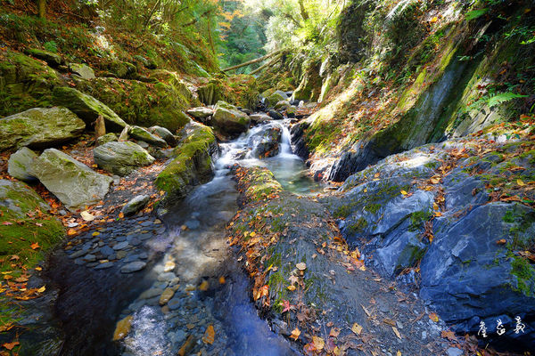 台八線108K楓之谷