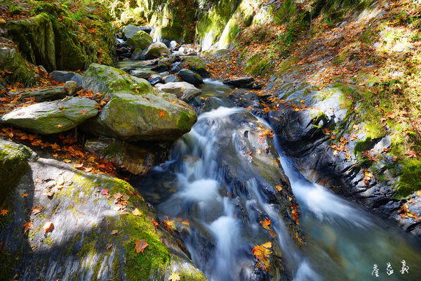 台八線108K楓之谷