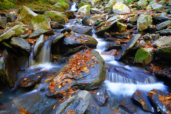 台八線108K楓之谷