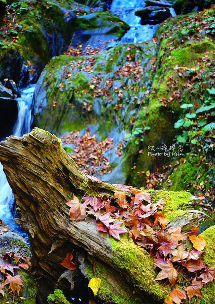 台八線108K楓之谷