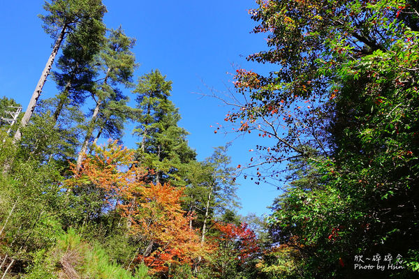 台八線108K楓之谷