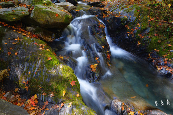 台八線108K楓之谷