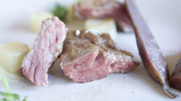 樂埔町母親節午餐2015-19