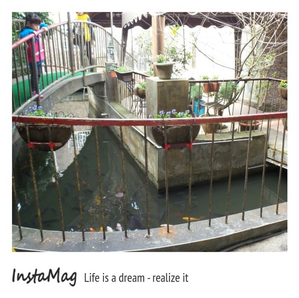 微光森林：微光森林鳳梨酥