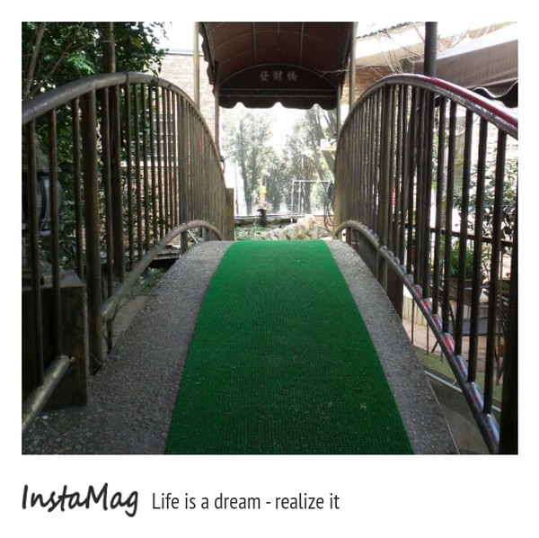 微光森林：微光森林鳳梨酥