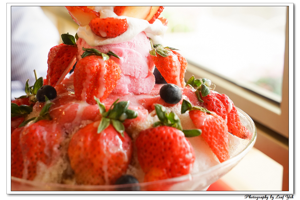 葉影瓶像版權所有