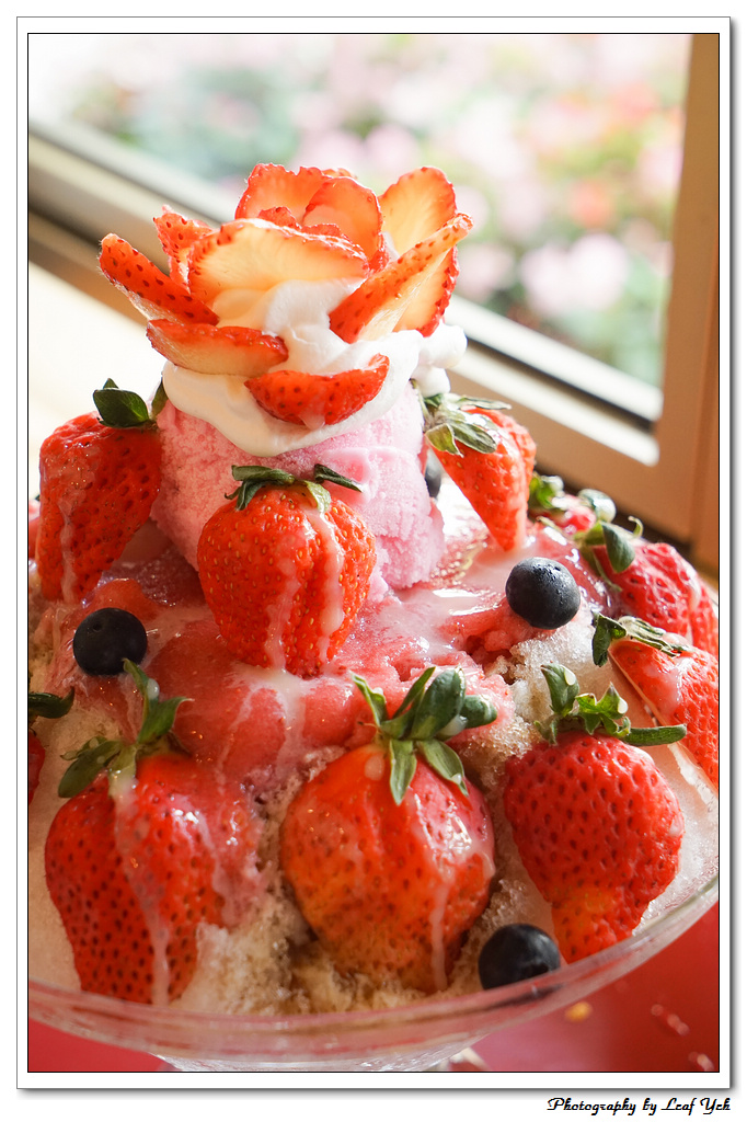 葉影瓶像版權所有