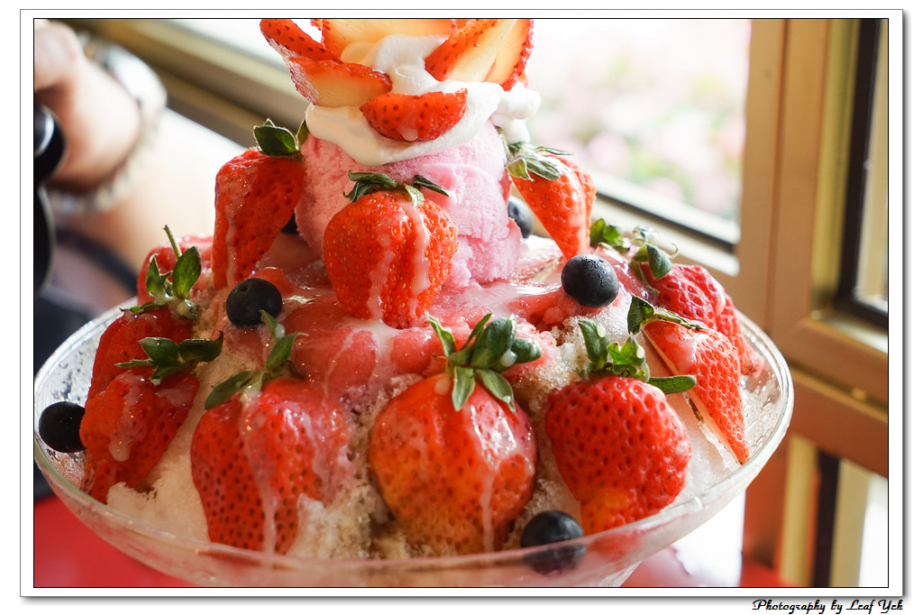 葉影瓶像版權所有