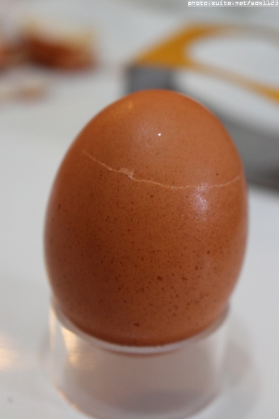 混蛋兄弟-魔法全蛋布丁:混蛋兄弟-魔法全蛋布丁✪ 好吃好玩真有趣