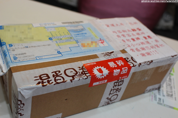 混蛋兄弟-魔法全蛋布丁:混蛋兄弟-魔法全蛋布丁✪ 好吃好玩真有趣