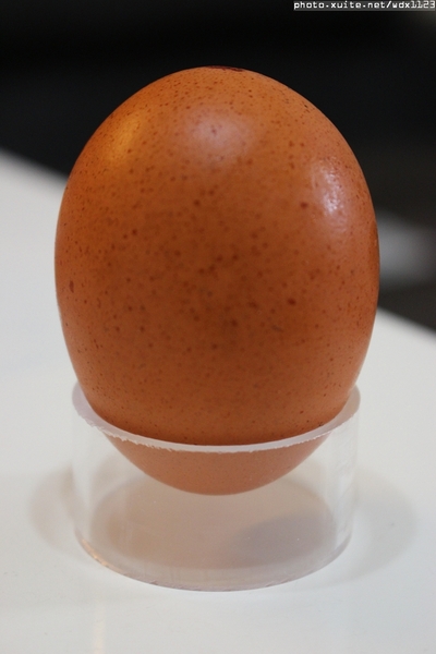 混蛋兄弟-魔法全蛋布丁:混蛋兄弟-魔法全蛋布丁✪ 好吃好玩真有趣