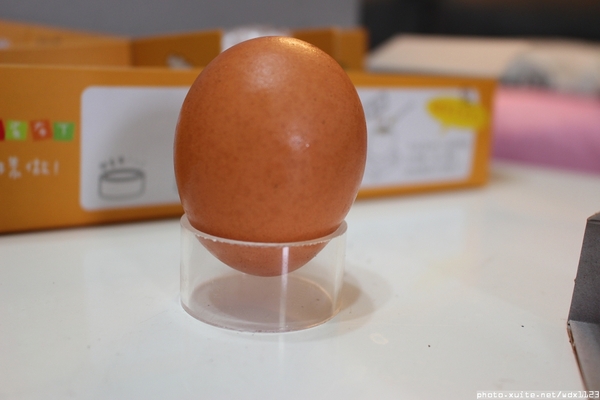 混蛋兄弟-魔法全蛋布丁:混蛋兄弟-魔法全蛋布丁✪ 好吃好玩真有趣