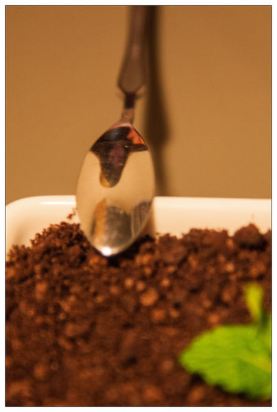 Vitus維圖斯咖啡