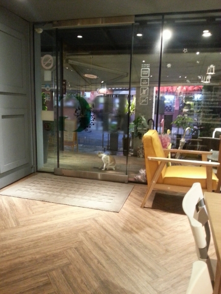 維圖斯咖啡 Café Vitus：【台北美食】維圖斯咖啡 Café Vitus@捷運南京復興站