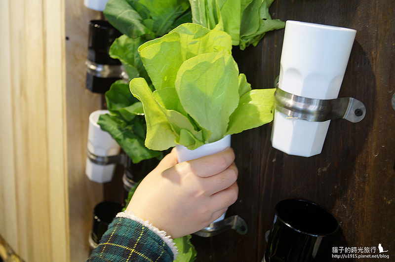 台中市西屯區_饗蔬職人