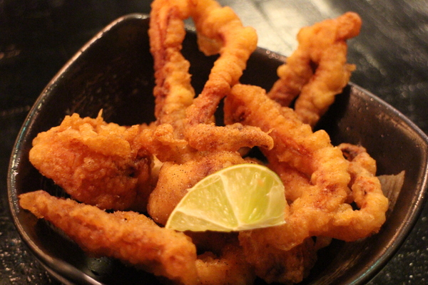 天命庵(花博之舖)：『天命庵 / 花博之舖』花博公園