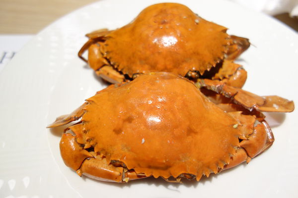 漢來海港自助餐廳：南紡夢時代 漢來海港自助餐廳 海港城 ~新鮮紅蟳吃免驚><