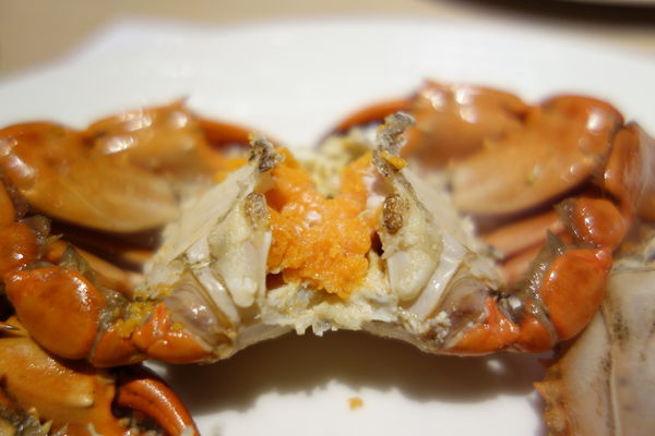 漢來海港自助餐廳：南紡夢時代 漢來海港自助餐廳 海港城 ~新鮮紅蟳吃免驚><