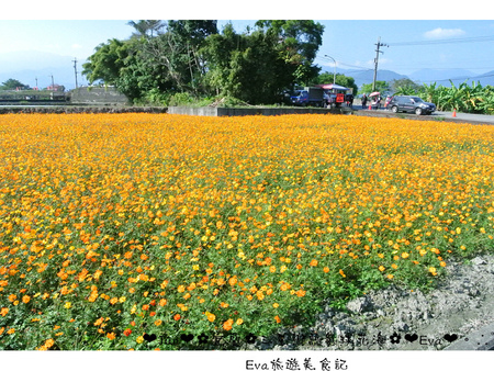 三星鄉：【遊記】oO。宜蘭 三星鄉*２０１５三星鄉花海氣球嘉年華*   超美花海和五顏六色的熱氣球，看了心情好好～。o○。
