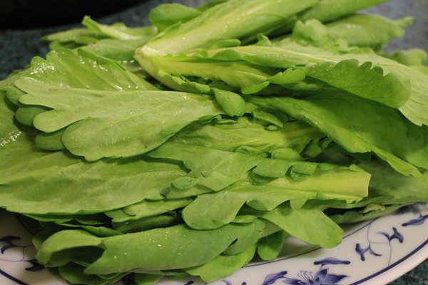 宣德炭燒羊肉爐(總店)：非凡大探索採訪台北‧文山區「宣德炭燒羊肉爐」捷運