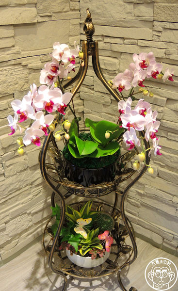 哈克廚房：呷飽祙【台北信義･Hack Bistro 哈克廚房】銷魂燉飯與義大利麵