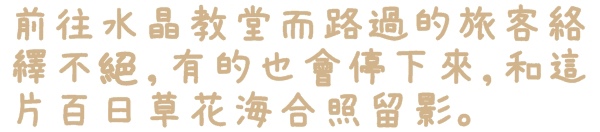 七股花海：【台南◍•ᴗ•◍七股】賞花秘境✯私房景點・2014七股花海｜旅途中的偶遇，萬紫千紅百日草