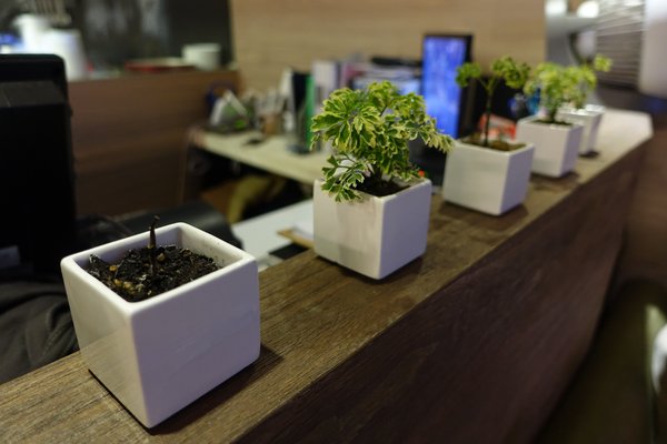 Boots：(胖樺食記)信義區溫馨時尚小餐館『Boots』。近捷運市政府站，美味餐點如藝術品般華麗