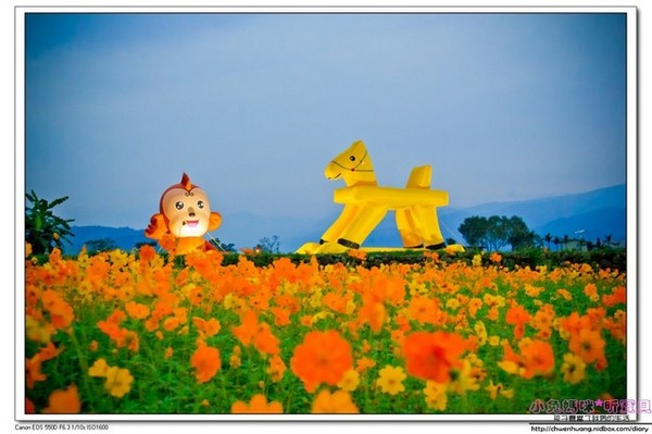 宜蘭三星 花海熱氣球嘉年華：2016宜蘭景點-三星鄉洛克馬/猴年吉祥物/熱氣球/猴年新年走春