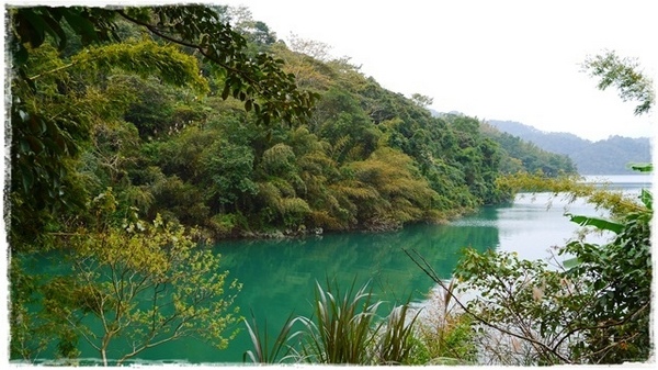石碇落羽松：【新北◍•ᴗ•◍石碇】塗潭道路✯私房景點・石碇落羽松｜坐落於秘境邊的落羽松大道