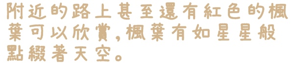 石碇落羽松：【新北◍•ᴗ•◍石碇】塗潭道路✯私房景點・石碇落羽松｜坐落於秘境邊的落羽松大道