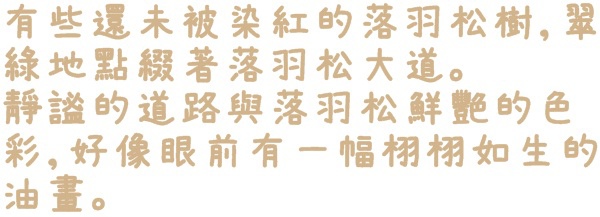石碇落羽松：【新北◍•ᴗ•◍石碇】塗潭道路✯私房景點・石碇落羽松｜坐落於秘境邊的落羽松大道