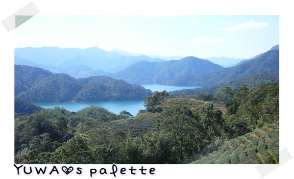 石碇落羽松：【新北◍•ᴗ•◍石碇】塗潭道路✯私房景點・石碇落羽松｜坐落於秘境邊的落羽松大道