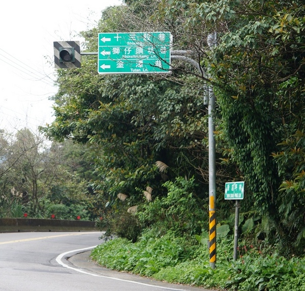 石碇落羽松：【新北◍•ᴗ•◍石碇】塗潭道路✯私房景點・石碇落羽松｜坐落於秘境邊的落羽松大道