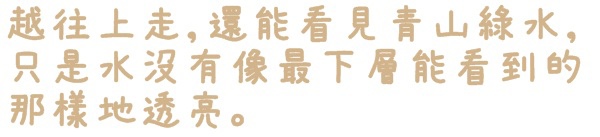 石碇落羽松：【新北◍•ᴗ•◍石碇】塗潭道路✯私房景點・石碇落羽松｜坐落於秘境邊的落羽松大道