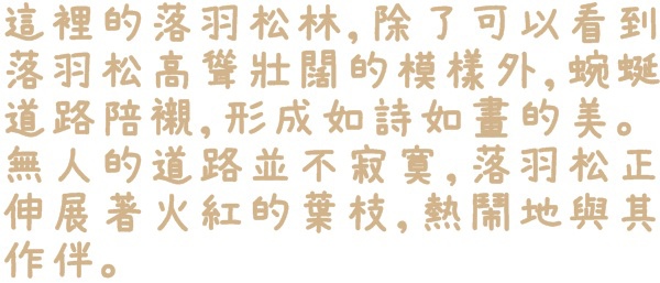 石碇落羽松：【新北◍•ᴗ•◍石碇】塗潭道路✯私房景點・石碇落羽松｜坐落於秘境邊的落羽松大道