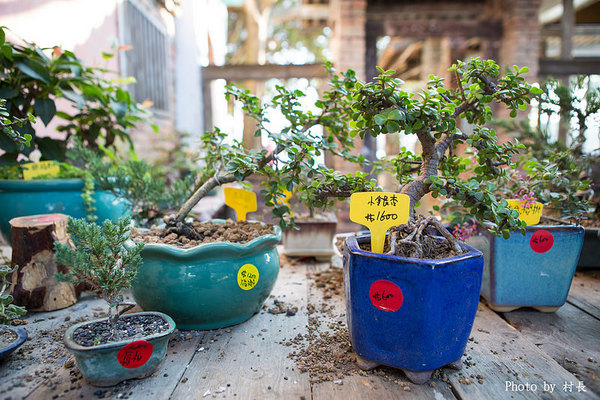 老塘湖藝術坊。草坔五路財神廟:【遊記】{台南。學甲區}仿古懷舊-老塘湖藝術坊
