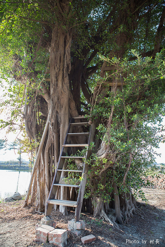 老塘湖藝術坊。草坔五路財神廟:【遊記】{台南。學甲區}仿古懷舊-老塘湖藝術坊
