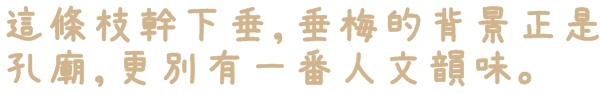 臺北孔廟:【台北◍•ᴗ•◍大同】捷運圓山站✯賞梅景點・台北市孔廟文化園區賞梅|雪白梅花的花瓣隨風飄逸,一片梅吹雪