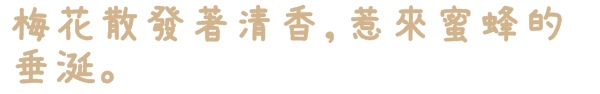 臺北孔廟:【台北◍•ᴗ•◍大同】捷運圓山站✯賞梅景點・台北市孔廟文化園區賞梅|雪白梅花的花瓣隨風飄逸,一片梅吹雪