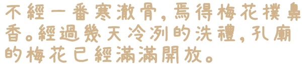 臺北孔廟:【台北◍•ᴗ•◍大同】捷運圓山站✯賞梅景點・台北市孔廟文化園區賞梅|雪白梅花的花瓣隨風飄逸,一片梅吹雪
