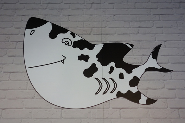 cm20150116___1bff8743647f208cc83263242bb