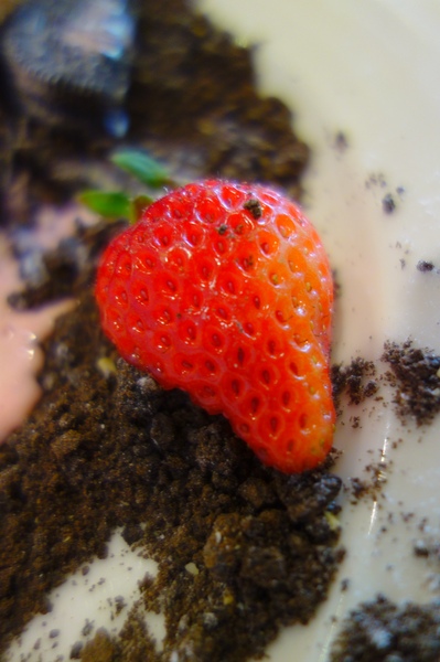 cm20150116___ce65709952ef4d9a2220c7fad3a