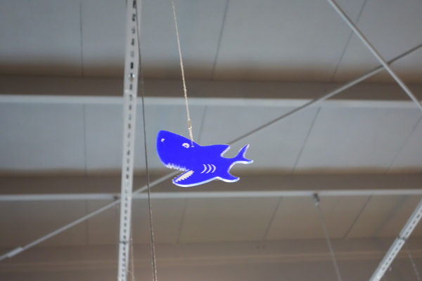 cm20150116___9b54ccbca3f509095ea64a2e5bc