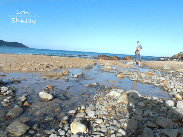 許莉。黃金咖啡