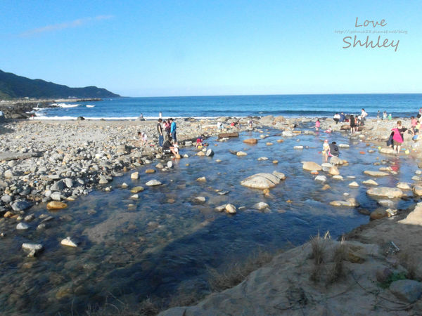 許莉。黃金咖啡