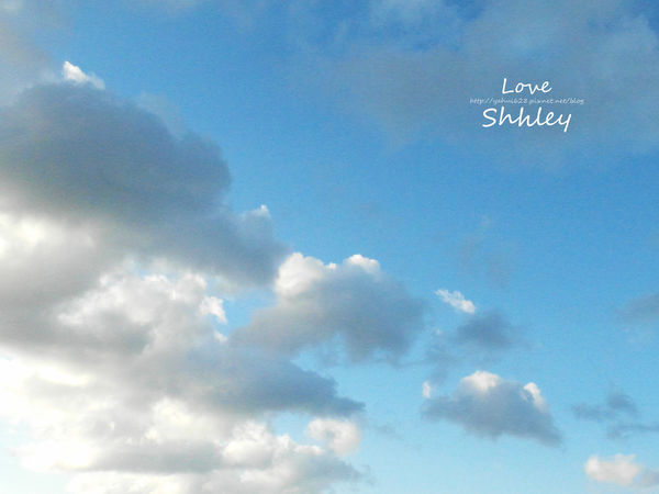 許莉。黃金咖啡