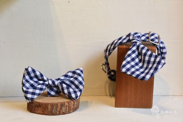 台南藍曬圖文創園區ZAZAZOO 3.jpg