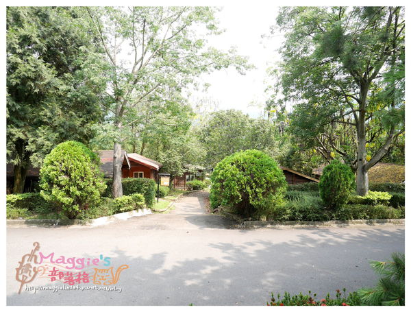 泰雅渡假村 (11).JPG