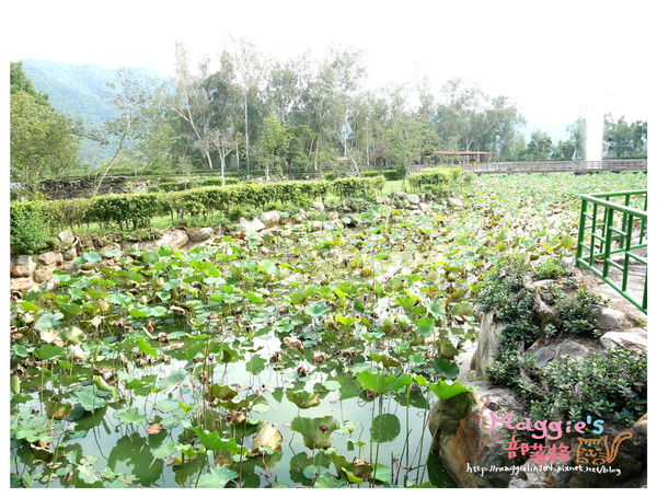 泰雅渡假村 (35).JPG